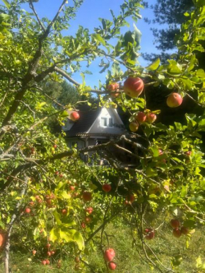 Harmony House in Wolin